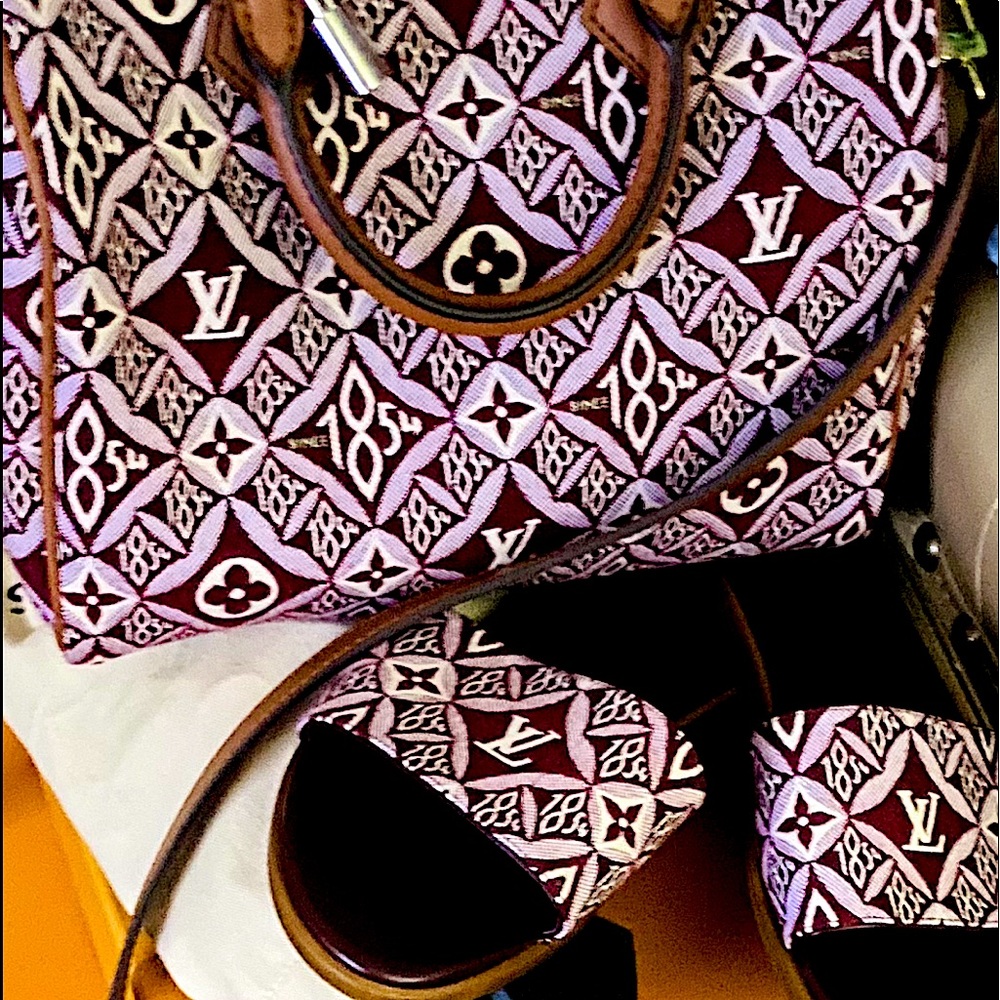 Louis Vuitton shoes and bag